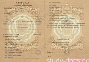 Аттестат 8 классов Аттестат 8 классов в Златоусте